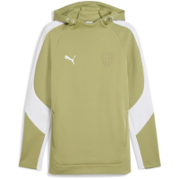 FCS Trainer teamEVOSTRIPE Hoody