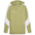 FCS Trainer teamEVOSTRIPE Hoody