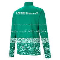 TuS Gronau teamRISE 1/4 Zip Top Jr - Pepper Green-Puma White | 140