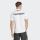FV Dudenhofen TIRO25C POLO Y