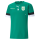 TuS Gronau teamRISE Jersey Jr - Pepper Green-Puma Black-Puma White | 128