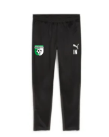 SV Mörlheim teamGOAL Training Pant