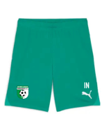 SV Mörlheim teamGOAL Shorts