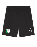 SV Mörlheim teamGOAL Shorts