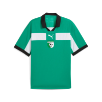SV Mörlheim teamCLASSIC Match Jersey