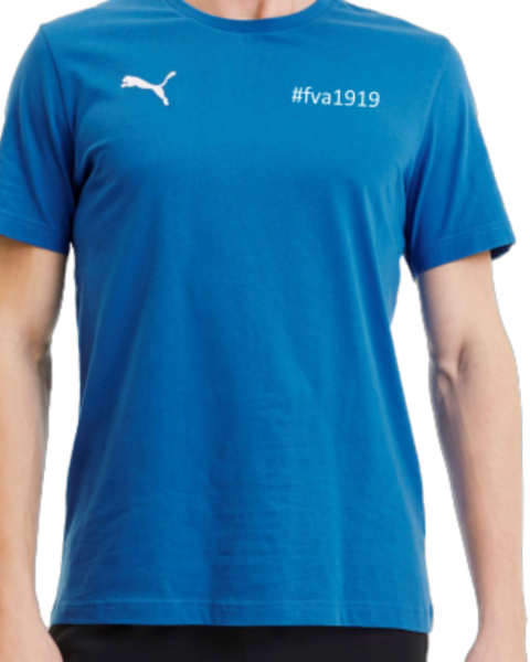 FV Alemannia Bruchhausen teamGOAL Casuals Tee