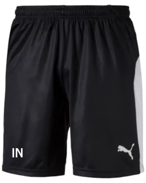 FV Alemannia Bruchhausen teamLIGA  Training Shorts