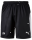FV Alemannia Bruchhausen teamLIGA  Training Shorts