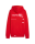 1.FC Kaiserslautern Triathlon teamGOAL Casuals Hoody