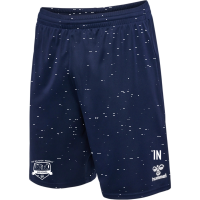 TSG Wolfstein-Roßbach hmlESSENTIAL SHORTS