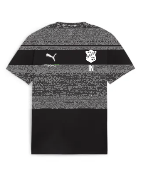 1.FC Niederkirchen teamGOAL Casuals Tee PUMA BLACK-PUMA WHITE L