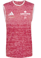 TV Pfortz Maximiliansau ENT26 SL JSY