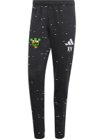 Flying Guschdcha ENT26 SW PNT