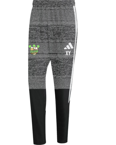 Flying Guschdcha TIRO26L PRE PNT