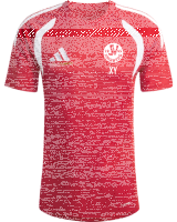 SV Kirrberg TIRO26L JSY M