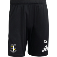 TSG Deidesheim Training Sommer Shorts