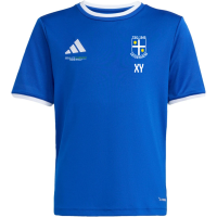 TSG Deidesheim Training Sommer Shirt