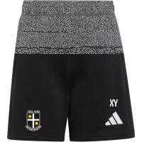 TSG Deidesheim Präsentation Sommer Shorts