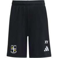 TSG Deidesheim Training Sommer Shorts
