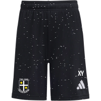 TSG Deidesheim Training Sommer Shorts