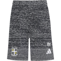 TSG Deidesheim Training Sommer Shorts