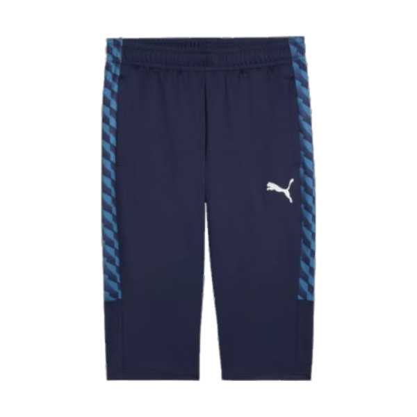 FC Speyer 09 teamLIGA26 Training 34 Pants