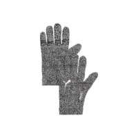 FC Speyer 09 teamADDITIONS Tech Gloves - PUMA Black-PUMA...