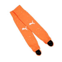 FC Speyer 09 teamLIGA26 Socks Core Stirrup - Rickie...