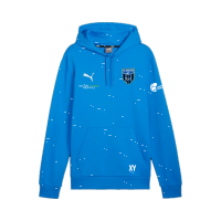 FC Speyer 09 teamGOAL Casuals Hoody Jr