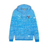 FC Speyer 09 teamGOAL Casuals Hooded Jacket