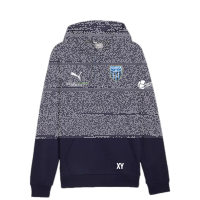 FC Speyer 09 teamGOAL Casuals Hoody - PUMA Navy-PUMA...