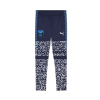 FC Speyer 09 teamLIGA26 Training Pants