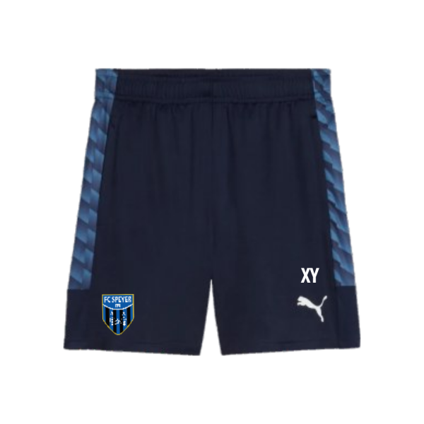 FC Speyer 09 teamLIGA26 Training Shorts