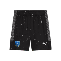 FC Speyer 09 teamLIGA26 Training Shorts