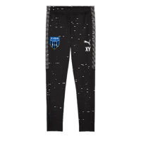 FC Speyer 09 teamLIGA26 Training Pants