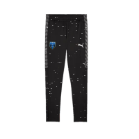 FC Speyer 09 teamLIGA26 Training Pants - PUMA Black-PUMA...