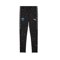 FC Speyer 09 teamLIGA26 Training Pants Jr