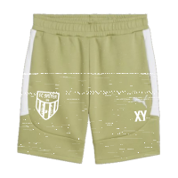 FC Speyer 09 teamEVOSTRIPE Shorts