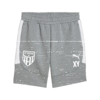 FC Speyer 09 teamEVOSTRIPE Shorts