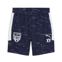 FC Speyer 09 teamEVOSTRIPE Shorts