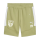 FC Speyer 09 teamEVOSTRIPE Shorts