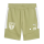 FC Speyer 09 teamEVOSTRIPE Shorts
