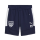 FC Speyer 09 teamEVOSTRIPE Shorts