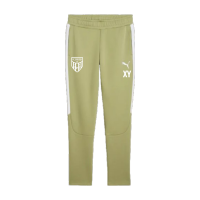 FC Speyer 09 teamEVOSTRIPE Pants