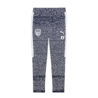 FC Speyer 09 teamEVOSTRIPE Pants