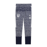 FC Speyer 09 teamEVOSTRIPE Pants