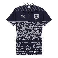 FC Speyer 09 teamEVOSTRIPE Polo - PUMA Navy-PUMA...