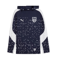 FC Speyer 09 teamEVOSTRIPE Hooded Jacket