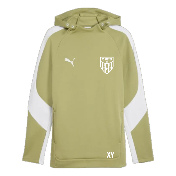 FC Speyer 09 teamEVOSTRIPE Hoody