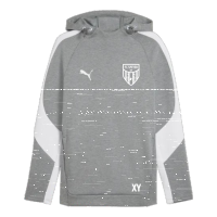 FC Speyer 09 teamEVOSTRIPE Hoody